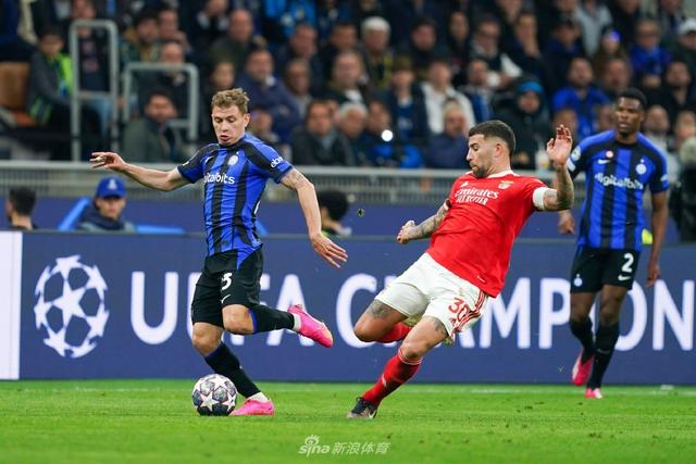 作为国内极 作为国内极